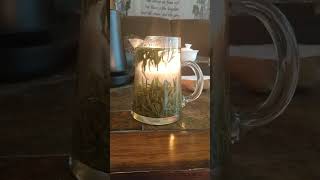 Yellow Tea Dance (Amber Mountain - Mei Leaf)