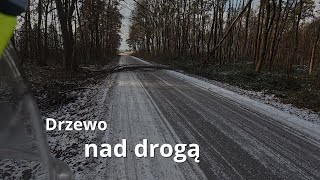 Drzewo Nad Drogą