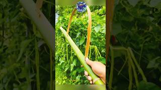 #primitiveskills #engineering #bamboo