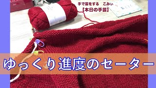 ゆっくり進度のセーター【本日の手芸】today's handicraft