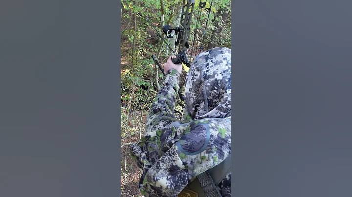 1st Deer w/Mathews Lift  #mathewsarchery #whitetaildoe #bowhunting #archery #bowhunting #deerhunting