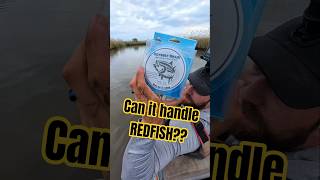 Testing NEW fishing line! #fishing #braid #fishingvideo #fishinglife #fishingtips #kayakfishing