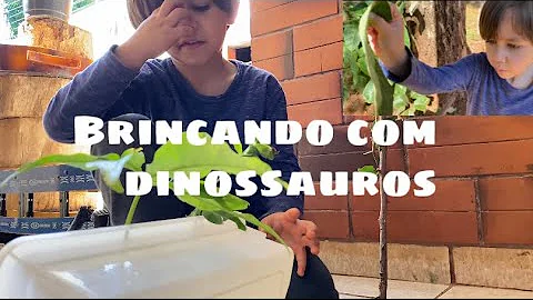 Brincando