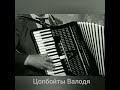 Цопбойты Валодя (Владимир Цопбоев) &quot;Дигорский симд&quot; муз.В.Цопбоев