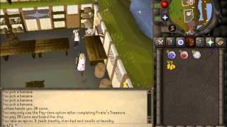 Pirate's Treasure Quest Guide 2007 Scape