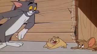 Tom and Jerry | Jerry Got Strong Guard Dog