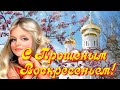 С ПРОЩЕНЫМ ВОСКРЕСЕНЬЕМ  Красивая видео открытка