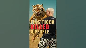 This Tiger Killed 8 People❗️
