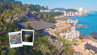 Autumn Trip to Busan, South Korea: October 2022 | 부산시 여행 | A Busan Travel Video