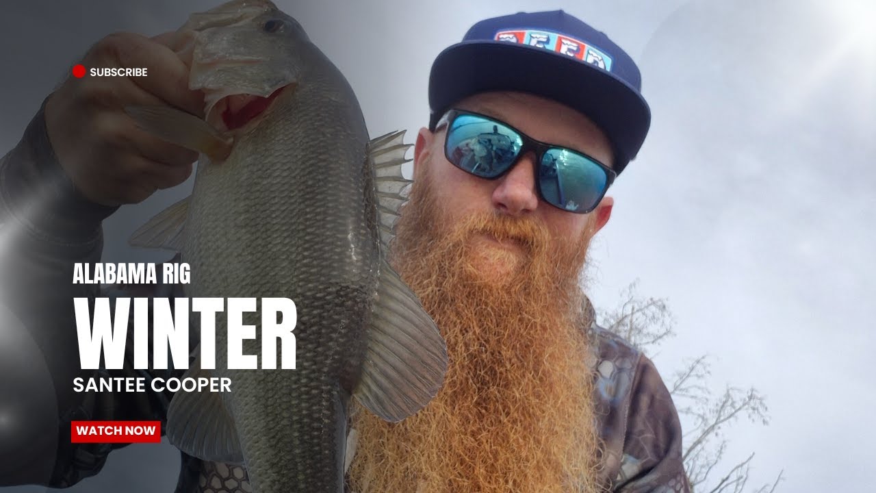 Winter Largemouth Bass Fishing South Carolina With An Alabama Rig