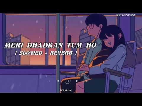 Meri Dhadkan Tum Ho Slowed Reverb Love Lofi Song