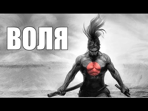 Железная Воля Охотника (Инструкция Для Падаванов)