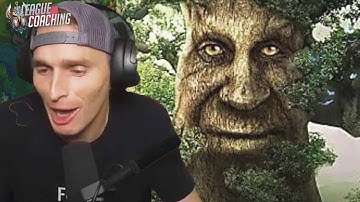 No one expected this champ to be strong again