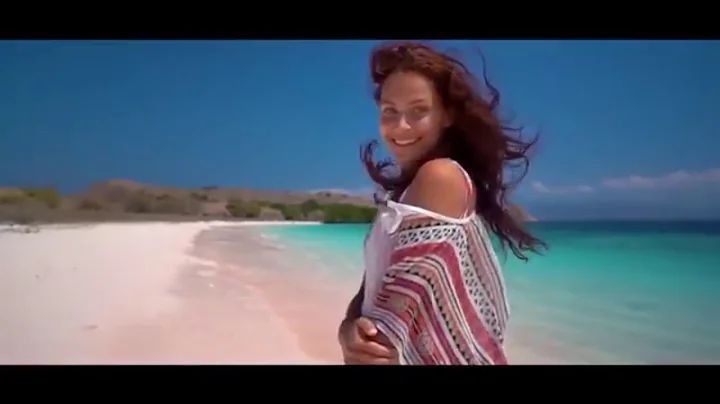 Dmitry Terekhov - French Story Videomix