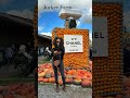 A must visit when in Zürich: Jucker Farm! Especially amazing for families🎃 #family #autumn #pumpkin