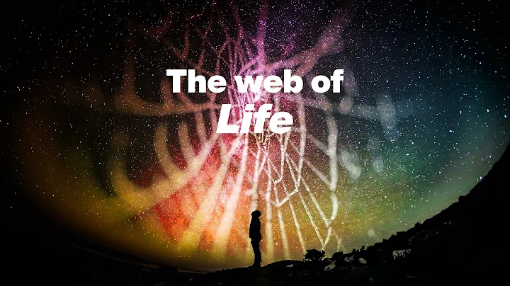 Vicar's vlog January 2024 The web of Life