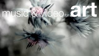 【musEs】music & video for art by audio visual artist opLo  #music © 2021 opLo. All Rights Reserved screenshot 5