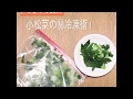 小松菜の冷凍術