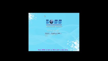 BOSS GNU / Linux Server 2.0 (Savir) Installation
