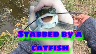 Trying out the new @batesfishingco EDC reel & my 16” Trojan Mag worm #new #review #sponsorme #epic 