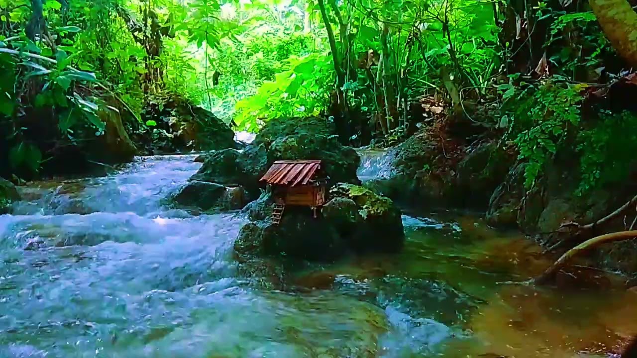 Relaxing natute sounds &peaceful scenery