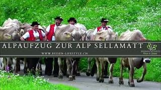 Alpaufzug zur Alp Sellamatt 17.06.2023 - reisen-lifestyle.ch