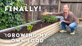 The Garden Begins: Setting Up My Raised Garden Bed!
