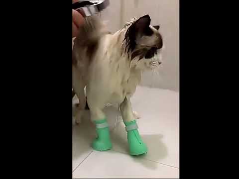 Anti Scratch Cat Boots Silicone For Bathing And Shaving