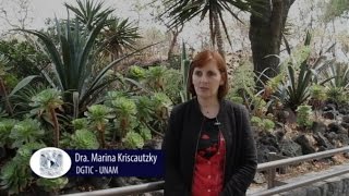 La importancia de las plataformas de educación en línea
