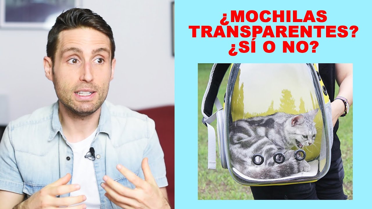 Son las mochilas/transportines transparentes para gatos? - YouTube