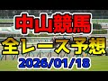 【中山競馬】2026/01/18全レース予想