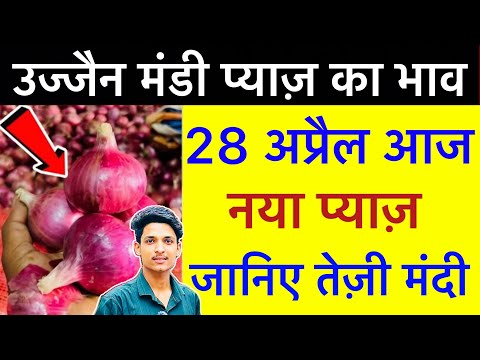 Ujjain Mandi Pyaj Ka Bhav | Pyaj Bhav Today | Ujjain Mandi Bhav | 28 April 2025