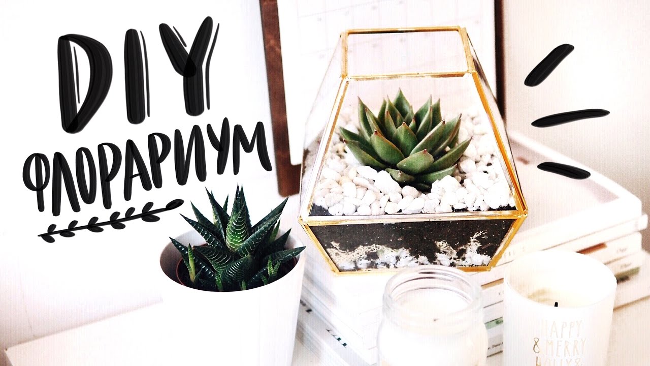 DIY: ФЛОРАРИУМ | Home decor | Flk Miracle