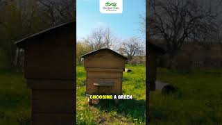 STOP! The Hidden Carbon Cost of Cremation: Why Green Burial is the Eco-Friendly Future 🌳
