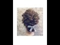 ヘアスタイリスト木村一平が教える！おしゃれ可愛いまとめアレンジ