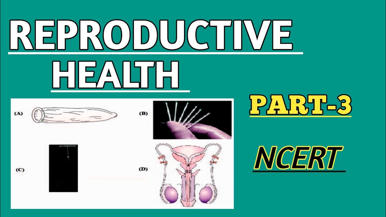 Reproductive Health | PART-3 | Class 12 Biology One Shot NEET 2026 