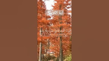 آية الكرسي بصوت القارئ ماهر حمد المعيقلي.#ماهر المعيقلي #آية الكرسي #سورة البقرة #قرآن