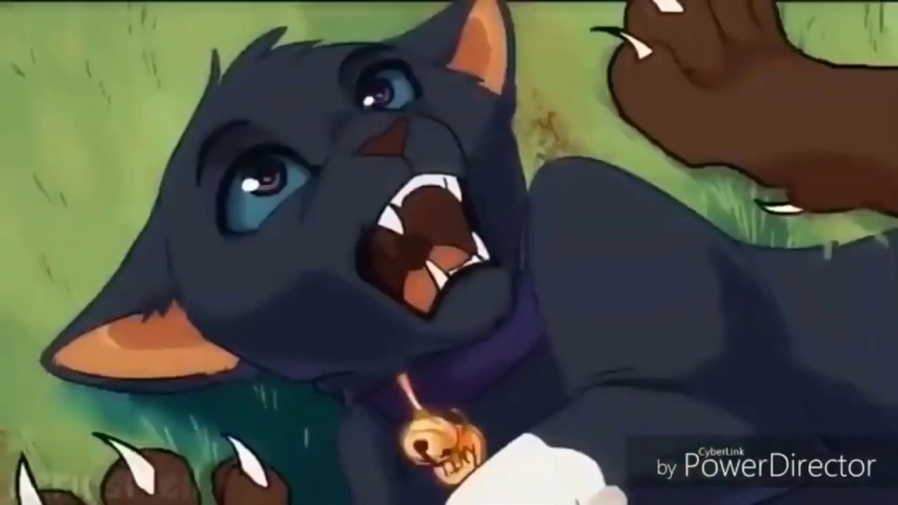 BREAKING NEWS: BABY WAKES, ROCKS OUT — scourge warrior cats from october