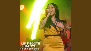 Download Lagu Lir Pedote Banyu (Koplo Version)