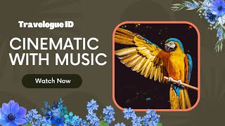 1 Hours Cinematic With MUSIC