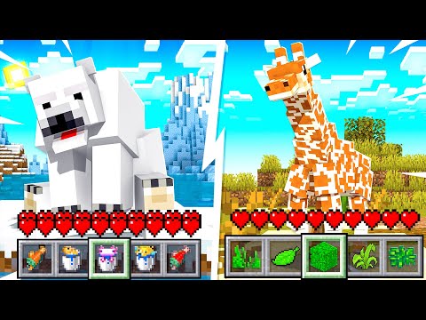 Video: Hoe Dieren Te Temmen In Minecraft: De Thuisdierentuin Van De Speler