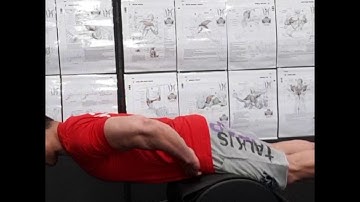 Exercise Index: Glute Ham Raise / GHR