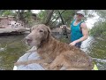 Making a floating dog bed so an old dog can still go fishing