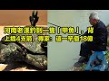 河南老漢釣到一隻「甲魚」，背上插4支箭，專家：這一竿值18億