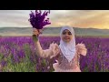 Aisha Hanum — НАШИД (на табасаранском) / 2021