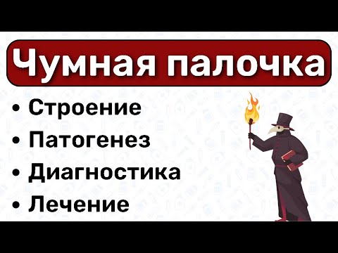 Чумная палочка: микробиология чумы, патогенез чумы, симптомы, диагностика, лечение