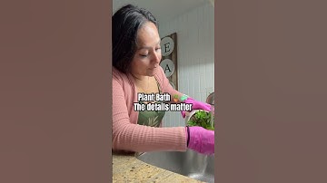 Property Management VLOG #vlog #dayinthelife #management #vlogger #realestatevlogs #guestservices