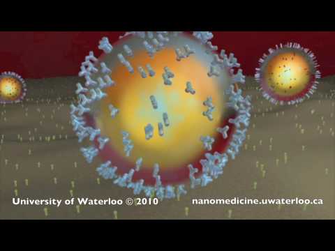 Video: Potensi Terapi Nanomedicine Untuk Merawat Penyakit Neovaskular Di Retina