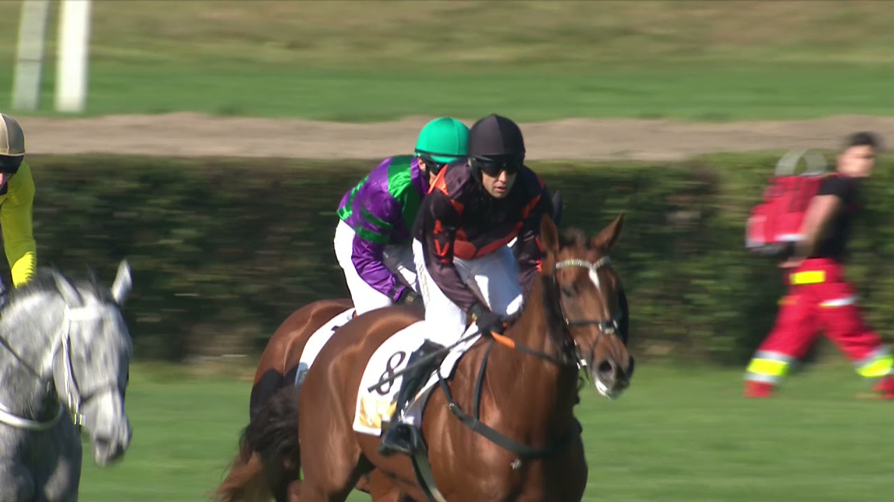 10.10. 2021 - 4. dostih - Pohár BICZ holding 2021