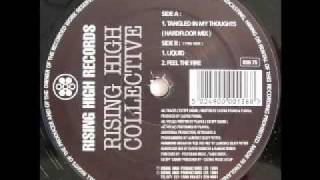 R.H.C Tangled in My Thoughts hardfloor mix (RISING HIGH RECORDS)